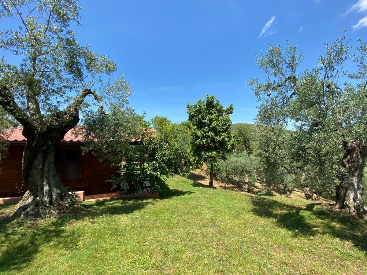I Giardini Di Margius Vila Itri Exterior foto